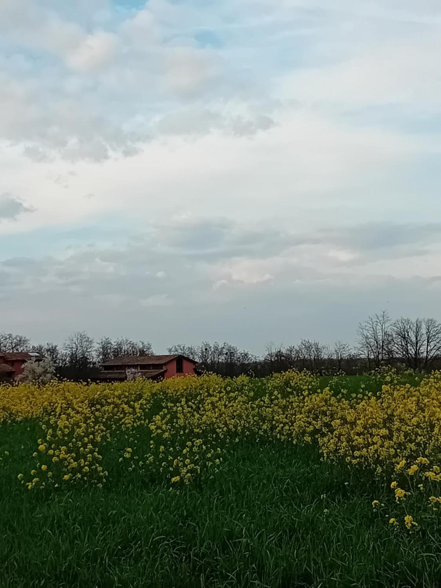 B&Ble Tre Gemme Montechiarugolo Kültér fotó